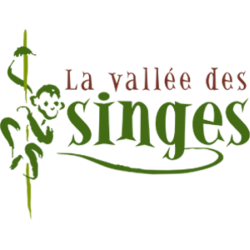 La vallée des singes