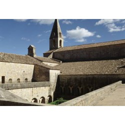 Abbaye de Montmajour -...