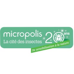 Micropolis