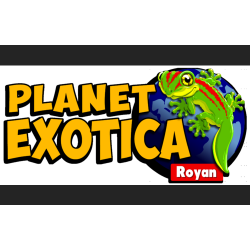 Planet Exotica