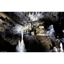 Grottes de Han