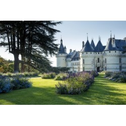 Domaine de Chaumont-sur-Loire